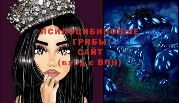 первитин Гусь-Хрустальный